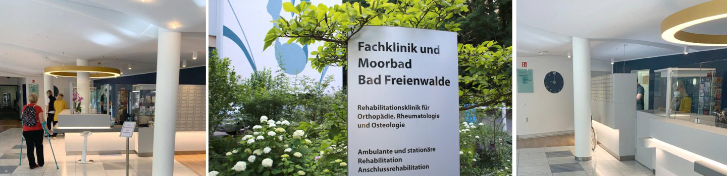 Rezeption